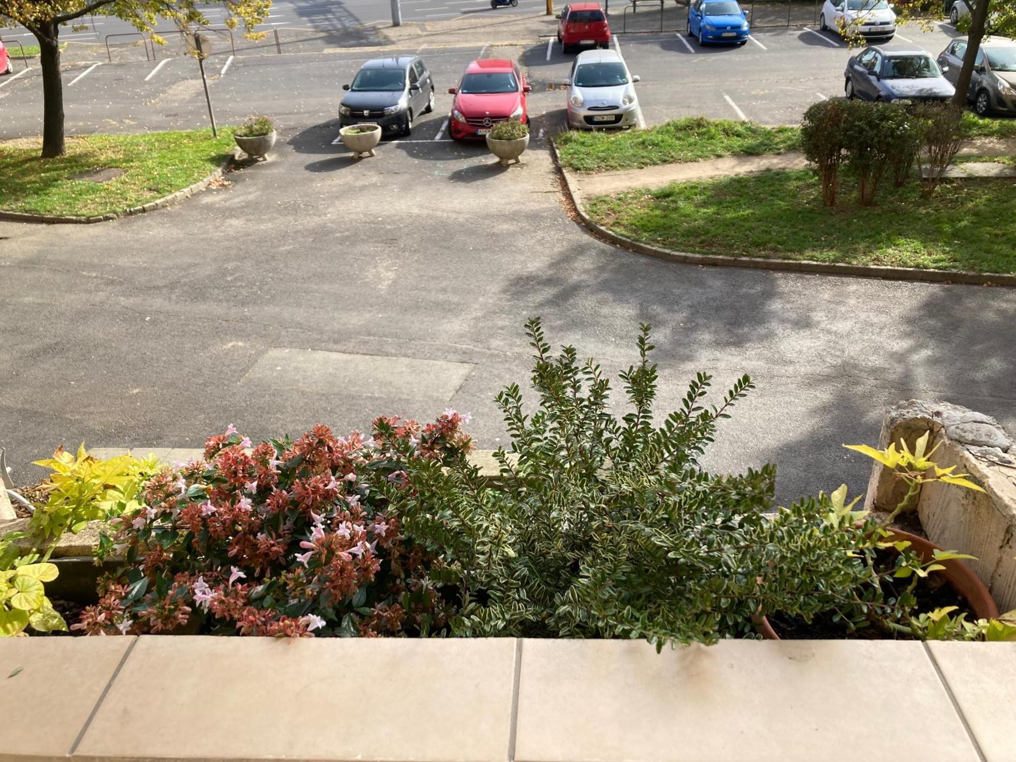 Belvarosi Classic Apartman 85 Square Meters Szombathely Buitenkant foto